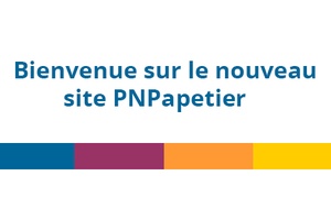 illustration Le nouveau site PNPapetier est lancé